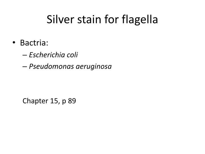 silver stain for flagella