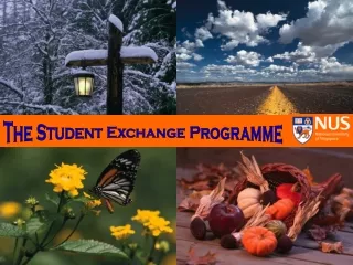 The Student Exchange Programme