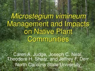 Microstegium vimineum  Management and Impacts on Native Plant Communities