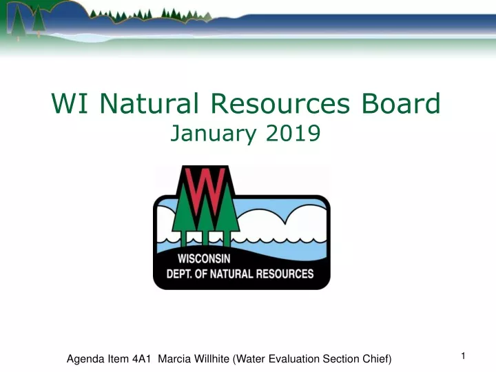 wi natural resources board january 2019