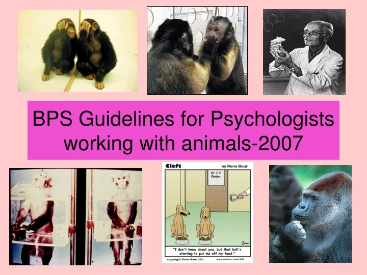 bps guidelines for psychologists working with animals 2007