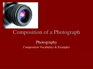 Composition of a Photograph