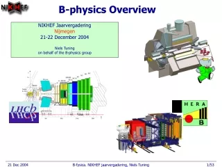 B-physics Overview
