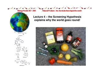 Lecture 4 – the Screening Hypothesis explains why the world goes round!