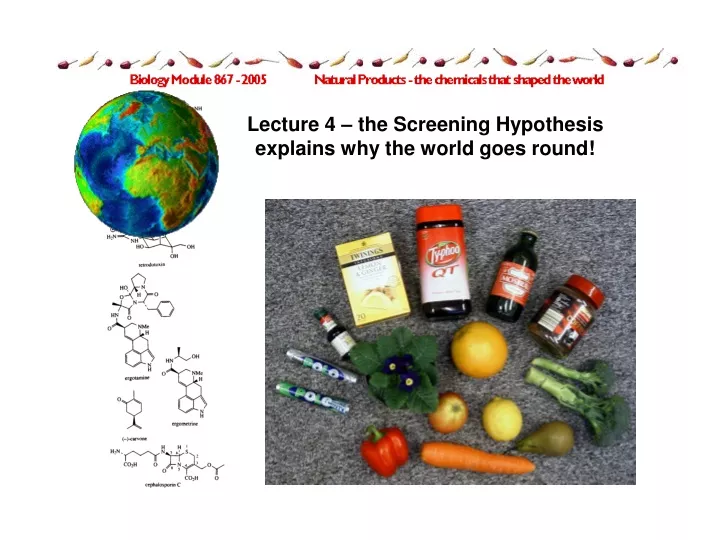 lecture 4 the screening hypothesis explains