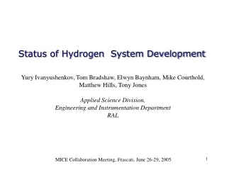 Status of Hydrogen  System Development