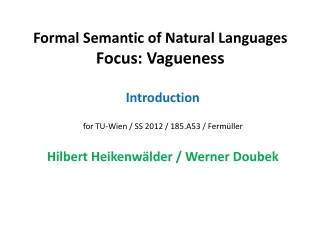 Formal Semantic of Natural Languages Focus: Vagueness