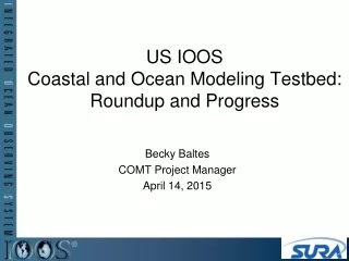 US IOOS  Coastal and Ocean Modeling Testbed: Roundup and Progress