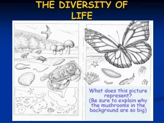 THE DIVERSITY OF LIFE