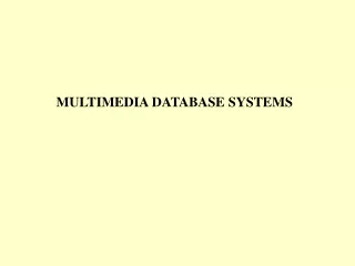 MULTIMEDIA DATABASE SYSTEMS