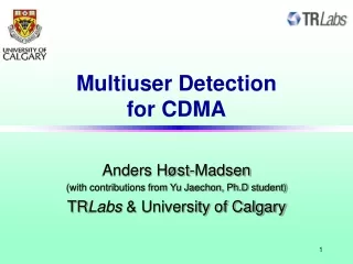 Multiuser Detection  for CDMA