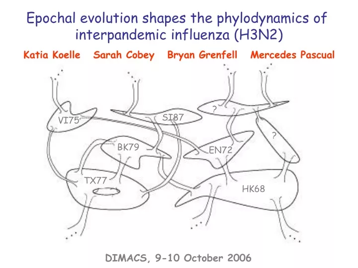 epochal evolution shapes the phylodynamics