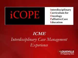 ICME Interdisciplinary Case Management Experience