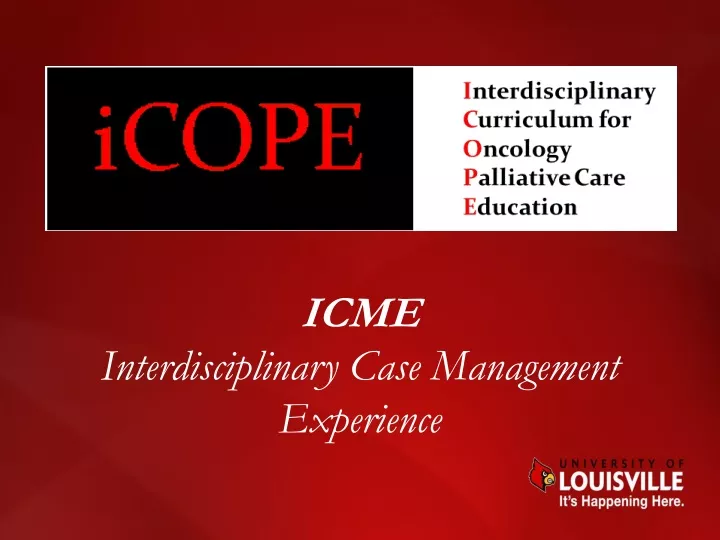 icme interdisciplinary case management experience