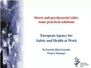 Stress and psychosocial risks:  some practical solutions