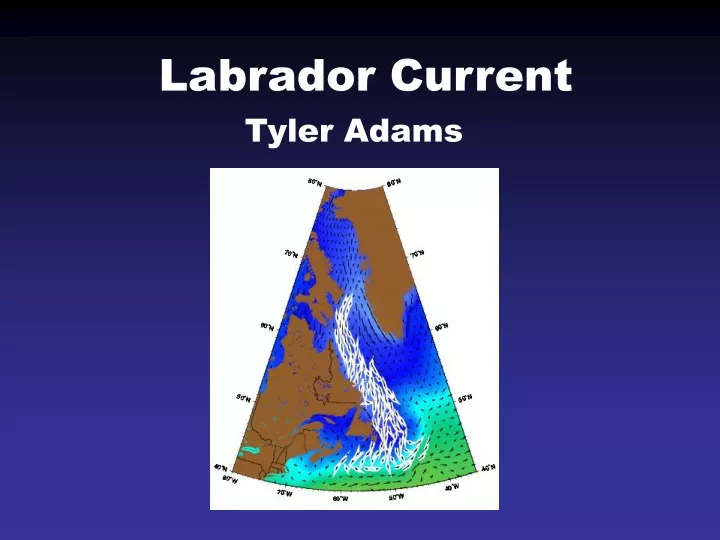 labrador current