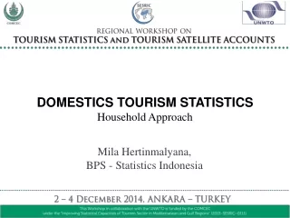 DOMESTICS TOURISM STATISTICS Household Approach