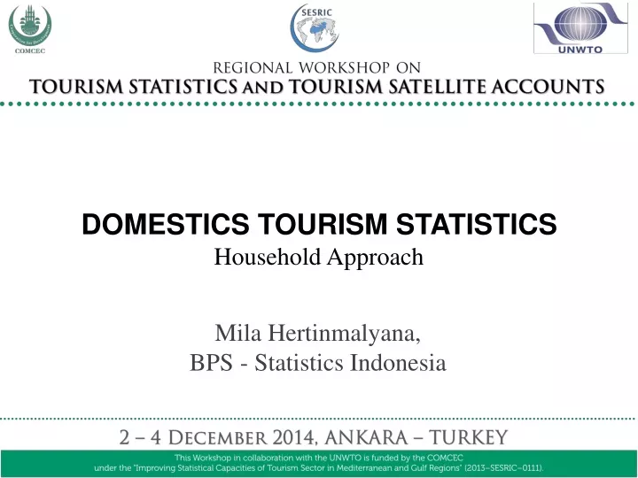domestics tourism statistics household approach
