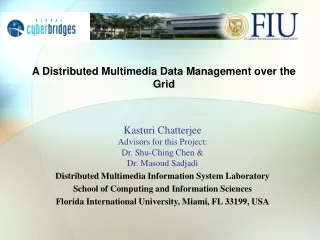 A Distributed Multimedia Data Management over the Grid