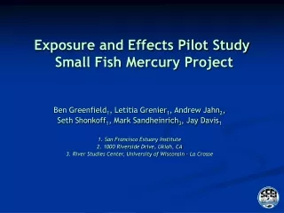 Exposure and Effects Pilot Study  Small Fish Mercury Project
