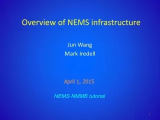 Overview of NEMS infrastructure