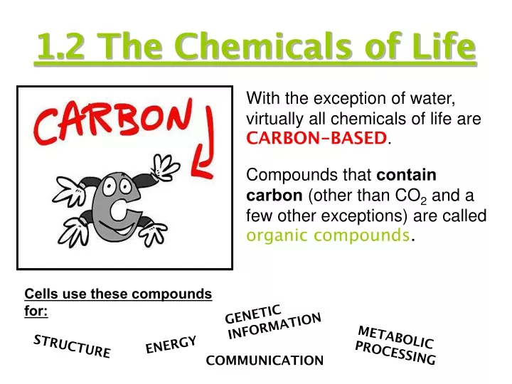 1 2 the chemicals of life