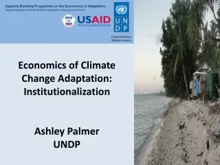 Economics of Climate Change Adaptation: Institutionalization Ashley Palmer UNDP