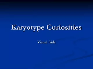 Karyotype Curiosities