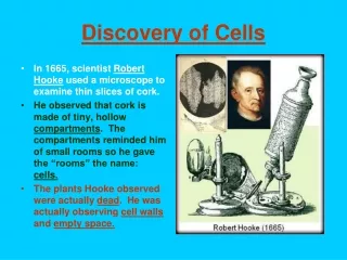 Discovery of Cells