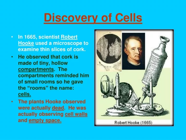 discovery of cells
