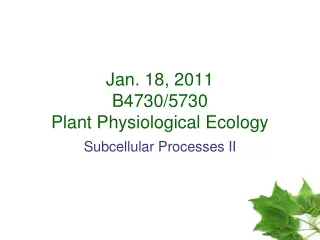 Jan. 18, 2011 B4730/5730 Plant Physiological Ecology