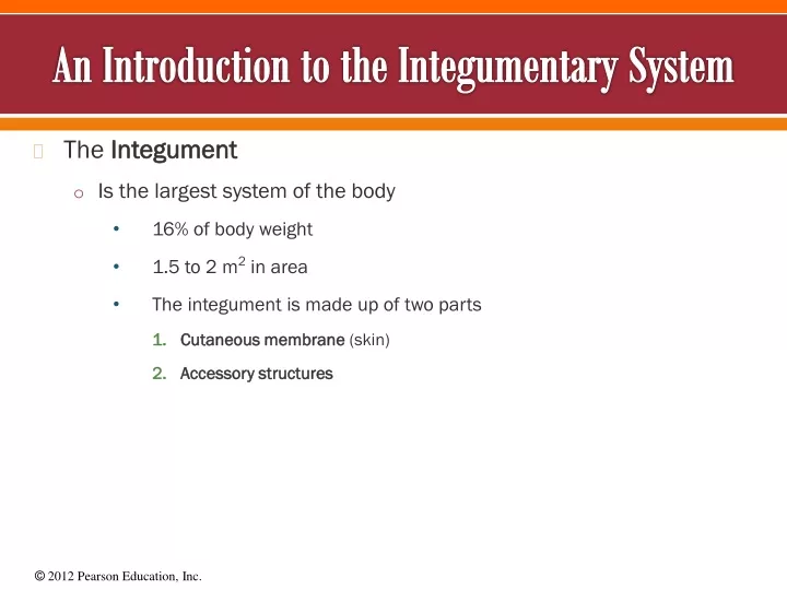 an introduction to the integumentary system