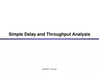 Simple Delay and Throughput Analysis