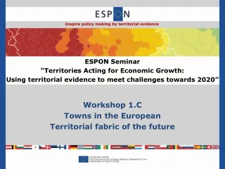 Workshop 1.C Towns in the European  Territorial fabric of the future