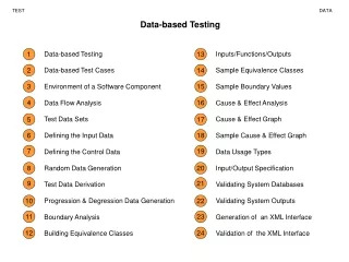 Data-based Testing