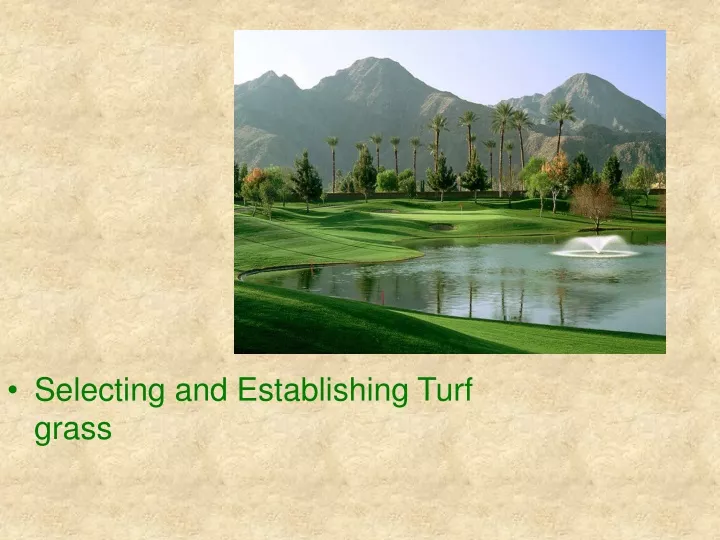 selecting and establishing turf grass