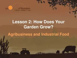 Lesson 2: How Does Your Garden Grow?