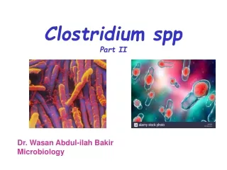 Clostridium spp Part II