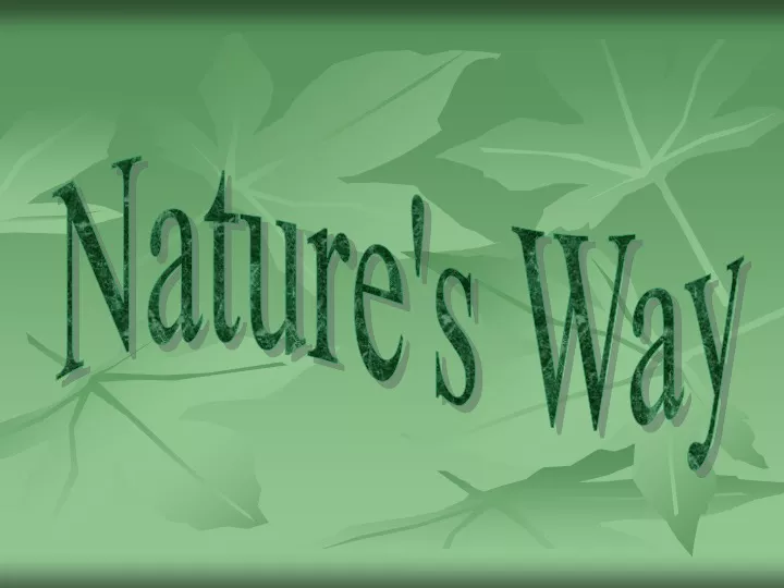 nature s way