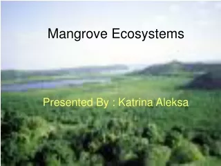 Mangrove Ecosystems