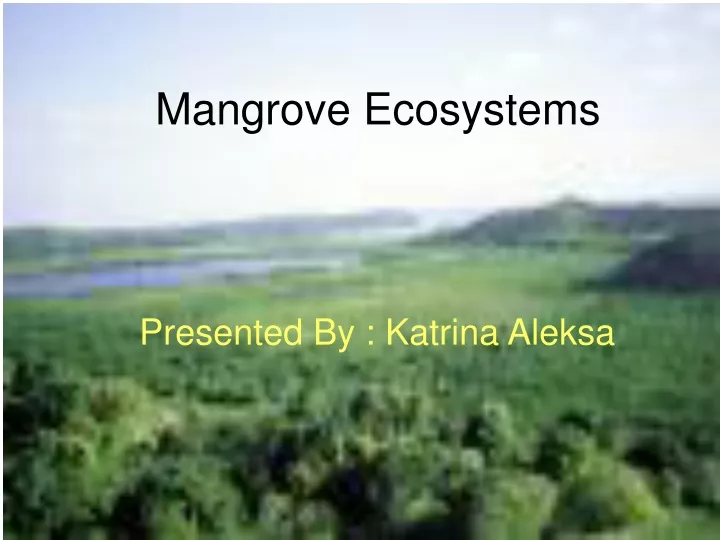 mangrove ecosystems