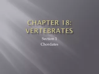 Chapter 18: Vertebrates
