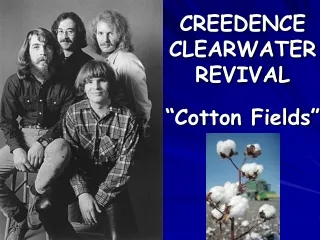 CREEDENCE CLEARWATER REVIVAL “Cotton Fields”