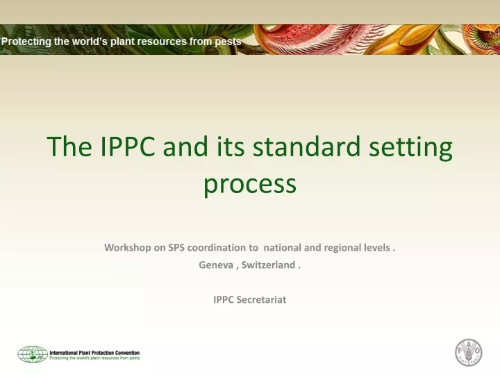 the ippc and its standard setting process