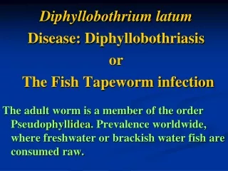 Diphyllobothrium latum Disease:  Diphyllobothriasis or  The Fish Tapeworm infection