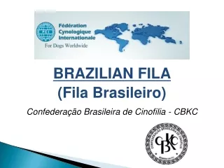 BRAZILIAN FILA (Fila Brasileiro)