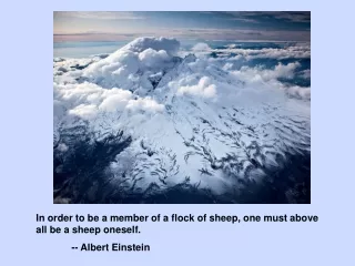 In order to be a member of a flock of sheep, one must above all be a sheep oneself.