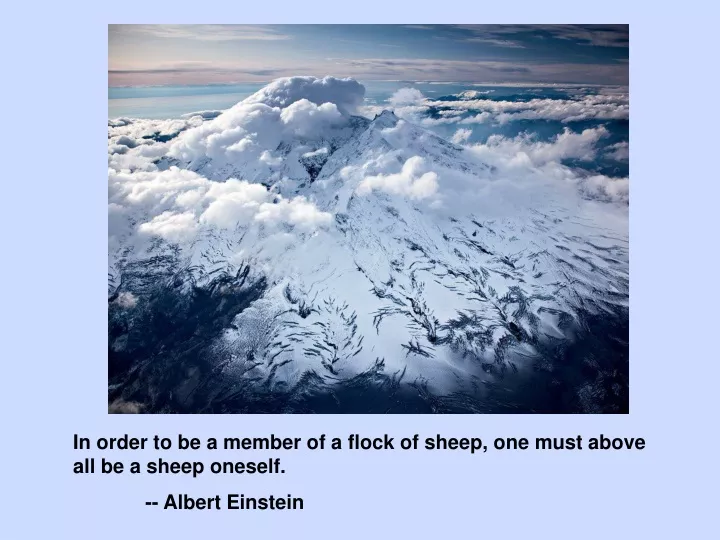 in order to be a member of a flock of sheep