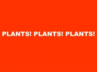 PLANTS! PLANTS! PLANTS!