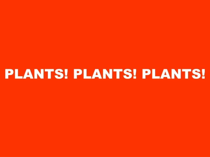 plants plants plants